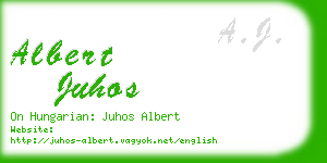 albert juhos business card